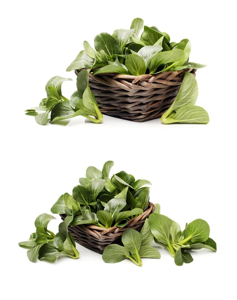 Pok Choi Collage — Stock Photo, Image