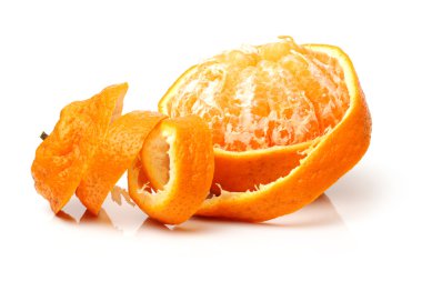 Large ugly orange fruit clipart