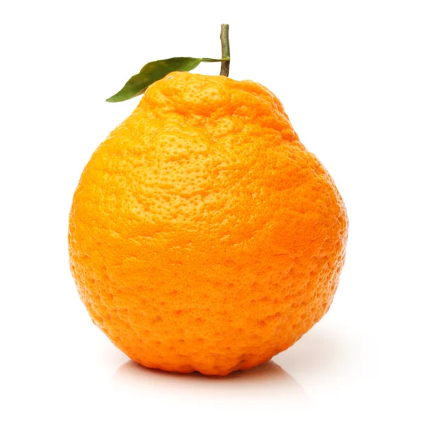 Juicy orange on the white — Stock Photo, Image