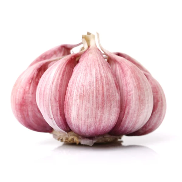 Fresh new garlic on white — Stock Photo, Image