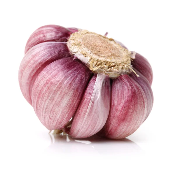 Fresh new garlic on white — Stock Photo, Image