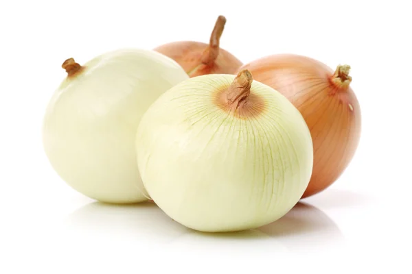 Onion vegetable on white — Stock Photo, Image