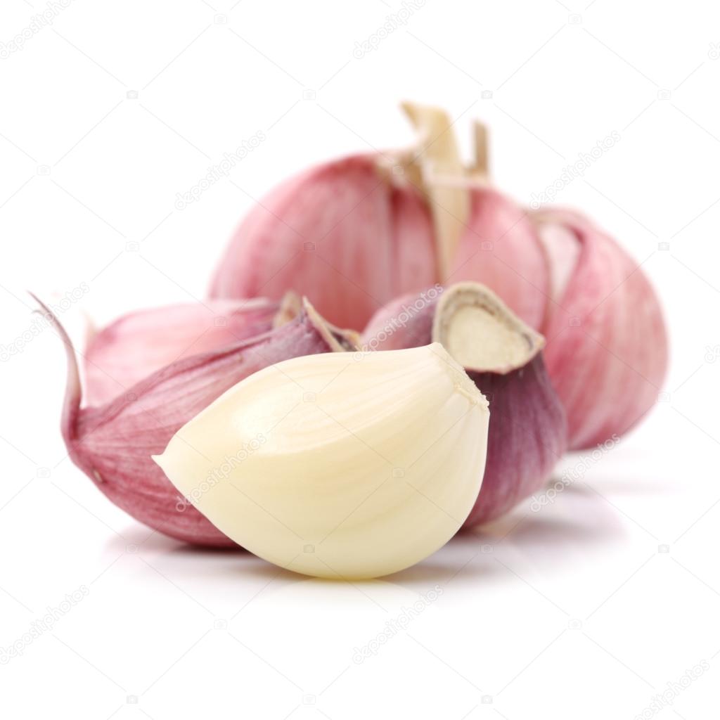 Fresh new garlic on white