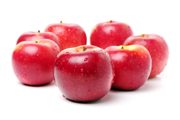 Røde æbler, friske - Stock-foto