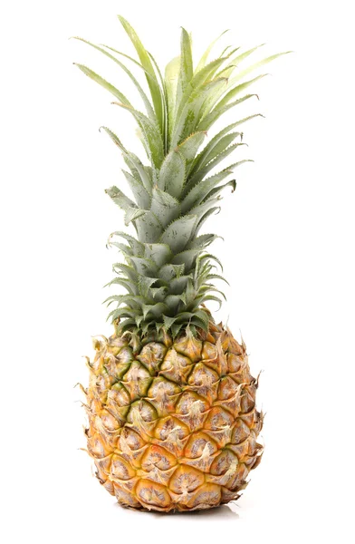 Helt färsk ananas — Stockfoto