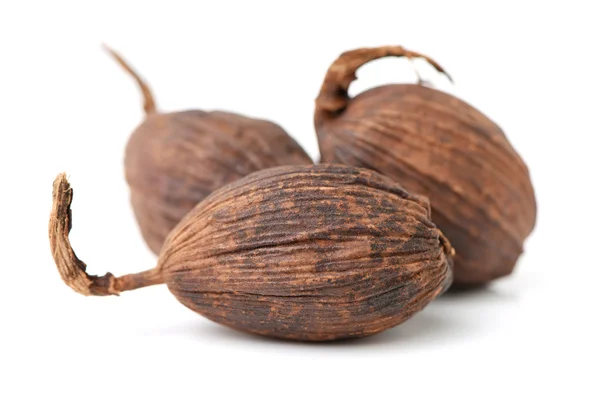 Black cardamom on a white — Stock Photo, Image