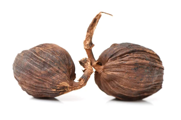 Black cardamom on a white — Stock Photo, Image