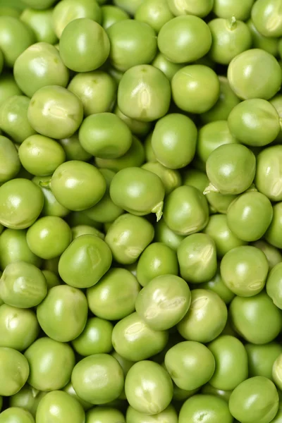 Green tomatoes background — Stock Photo, Image