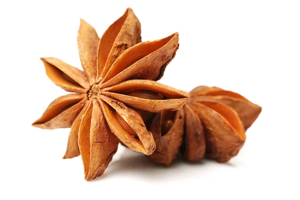 Star anise spice — Stock Photo, Image