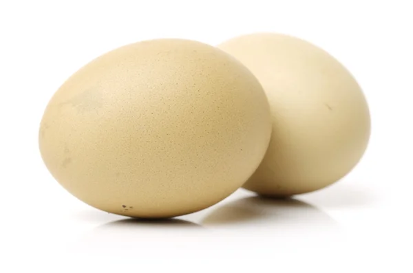 Fresh chicken eggs — Stock Photo, Image