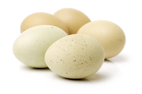 Huevos frescos de pollo —  Fotos de Stock