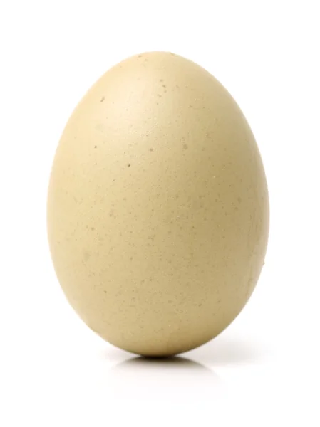Um ovo em branco — Fotografia de Stock