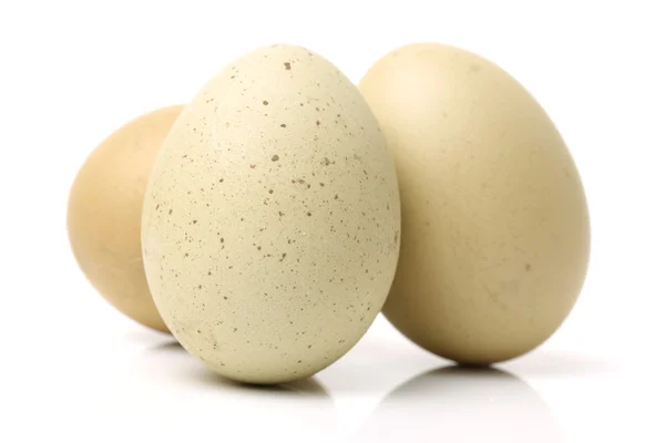 Duck eggs on white — Stock Photo, Image