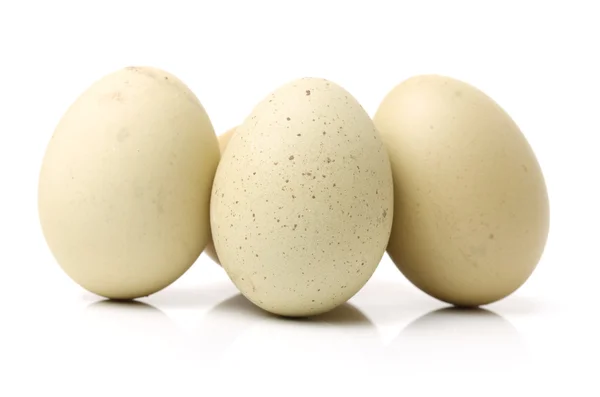 Duck eggs on white — Stock Photo, Image