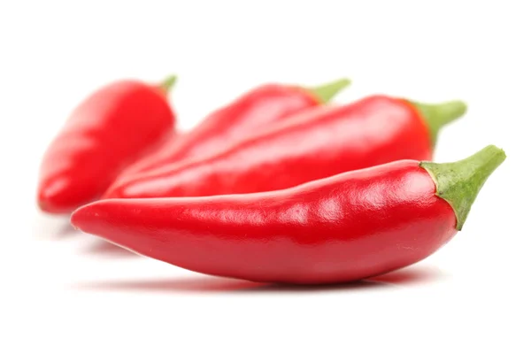 Red chili peppers on white — Stock Photo, Image