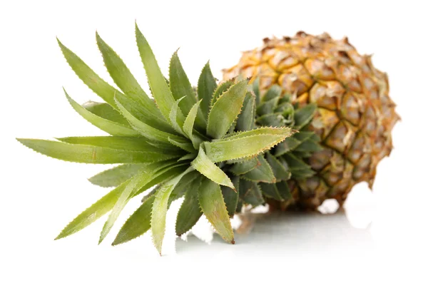 Whole fresh pineapple — Stock Photo, Image