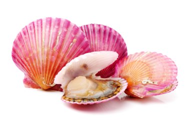 Beyaz üzerine ham tarak