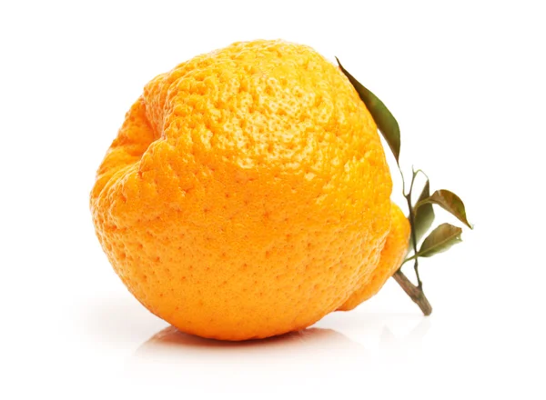 Oranžové plody na bílém pozadí — Stock fotografie