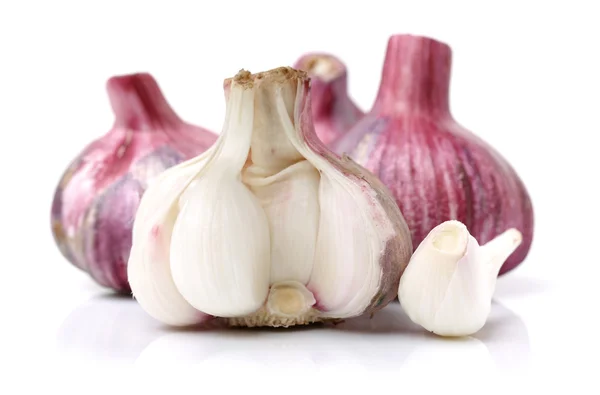 Fresh new garlic on white — Stock Photo, Image