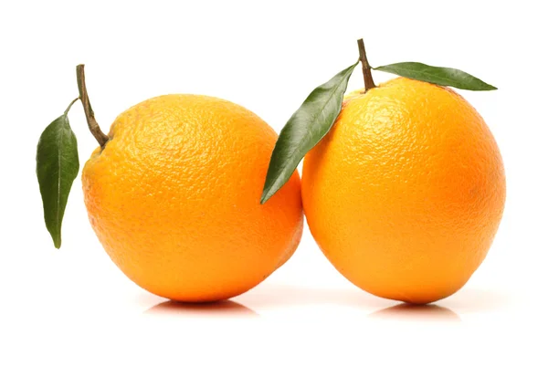 Свежие апельсины на белом — стоковое фото