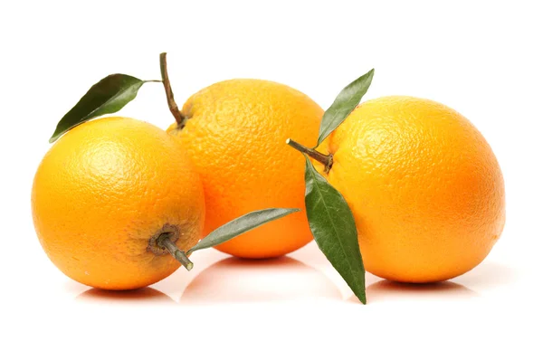 Verse sinaasappelen op wit — Stockfoto
