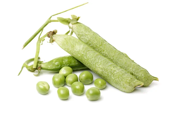 Fresh Snow peas — Stock Photo, Image