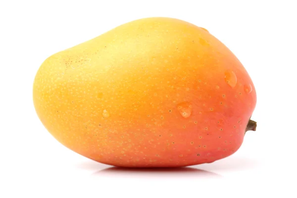 Yellow mango on white — Stock Photo, Image