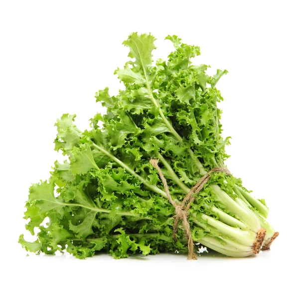Green herb on white — Stock Photo, Image