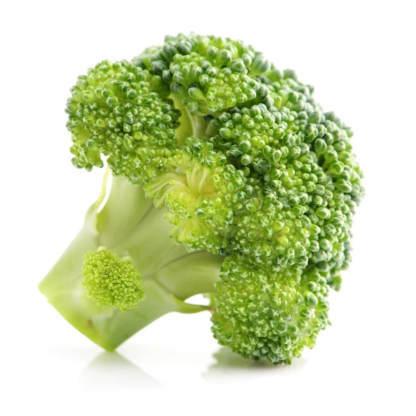 Légume brocoli sur blanc — Photo