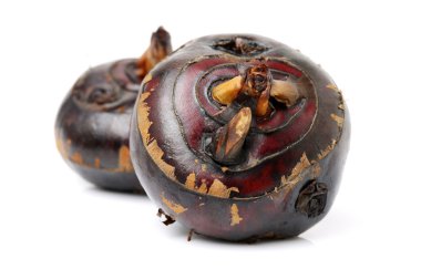 Beyaz üzerine su kestane