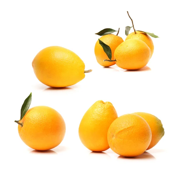 Collage de fruta naranja — Foto de Stock
