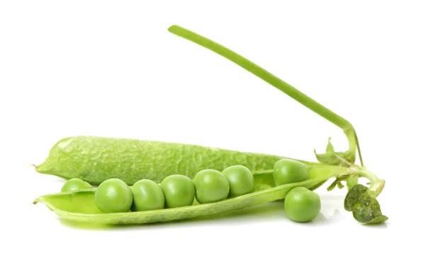 Fresh Snow peas — Stock Photo, Image