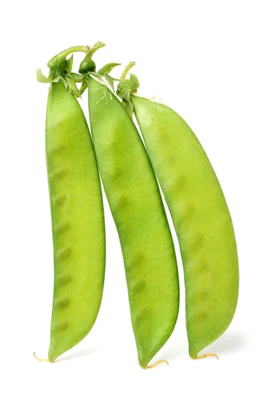 Fresh Snow peas — Stock Photo, Image