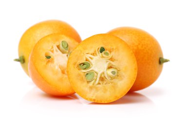 Kamkat beyaz zemin üzerine