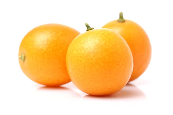 Kumquat su sfondo bianco — Foto Stock