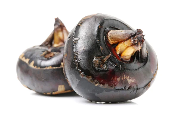 Castanha de água em branco — Fotografia de Stock