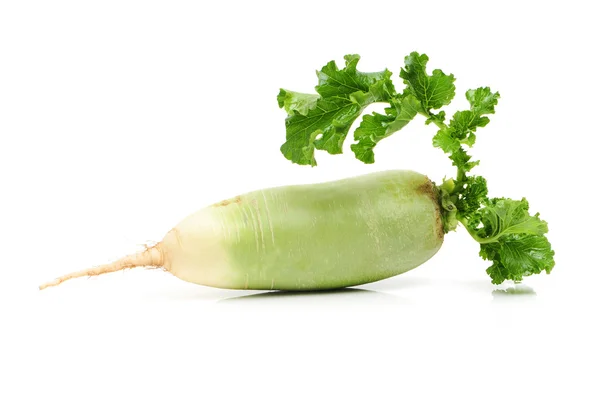 Whole single green radish — Stock Photo, Image