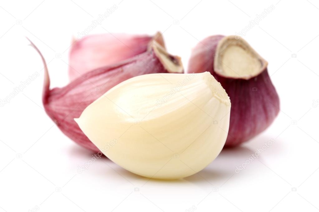 Fresh new garlic on white