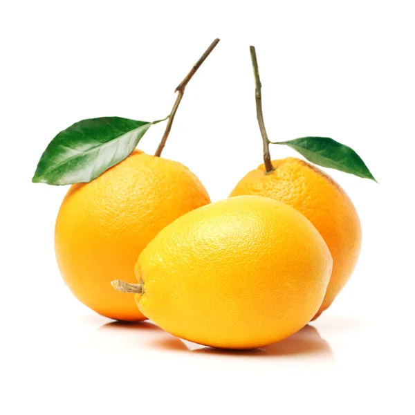 Три спелых лимона — стоковое фото