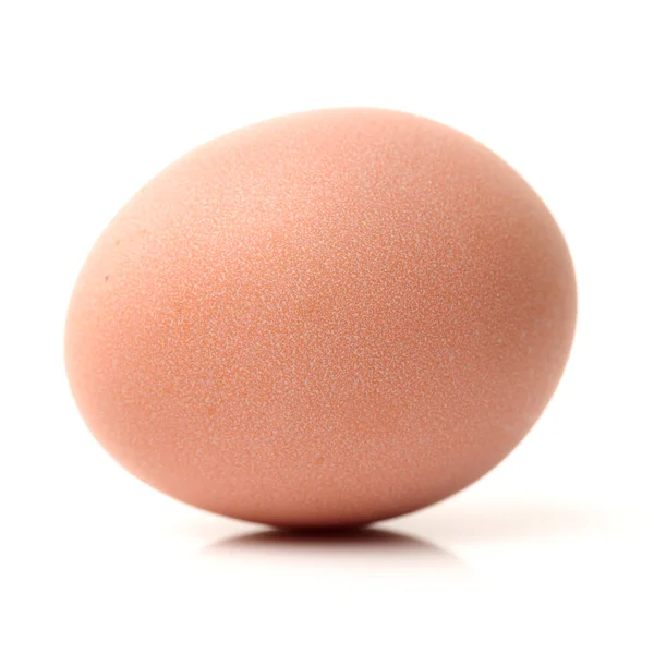 Brown egg on white — Stock Photo, Image