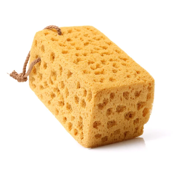 Brown  Sponge on  white — Stock Photo, Image