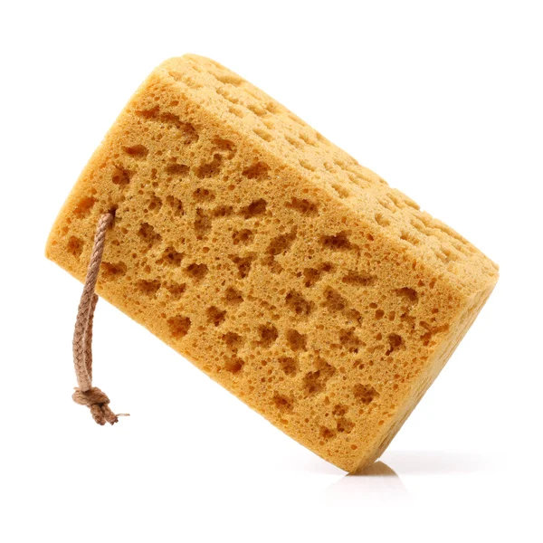 Brown  Sponge on  white — Stock Photo, Image