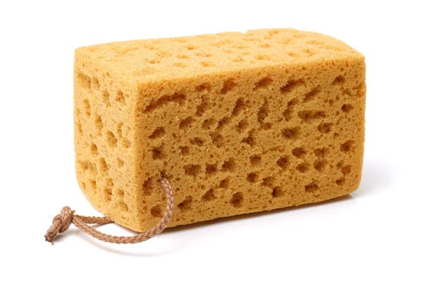 Brown  Sponge on  white — Stock Photo, Image