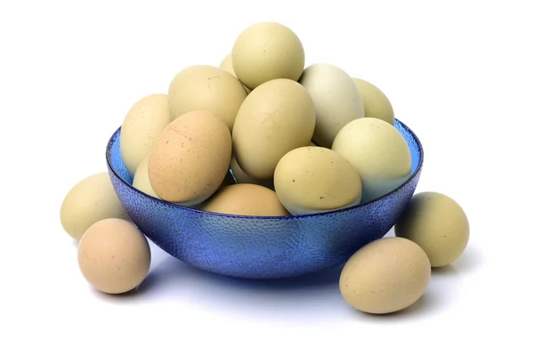 Coleção de ovos em branco — Fotografia de Stock