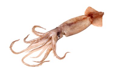 Wole ham kalamar