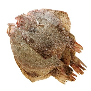 İki ham bütün flounders