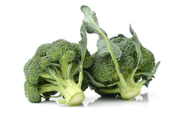 Two fresh bunches of broccoli — Stock Photo, Image