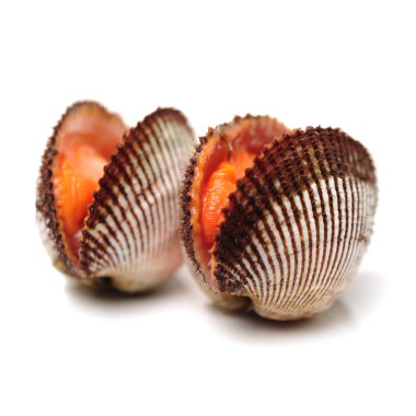 İki çiğ istiridye kabuğu