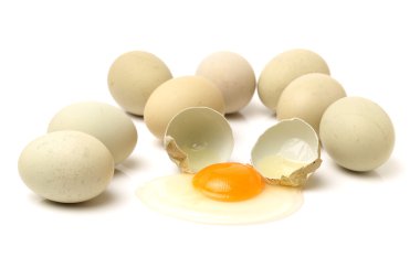 egész- és törött tojás