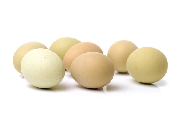 Coleção de ovos em branco — Fotografia de Stock